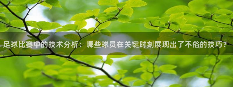  足球比赛中的技术分析：哪些球员在关键时刻展现出了不俗的技巧？