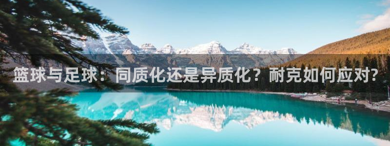  篮球与足球：同质化还是异质化？耐克如何应对?
