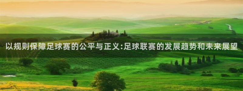 以规则保障足球赛的公平与正义:足球联赛的发展趋势和未来展望