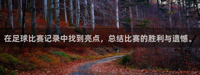  在足球比赛记录中找到亮点，总结比赛的胜利与遗憾。