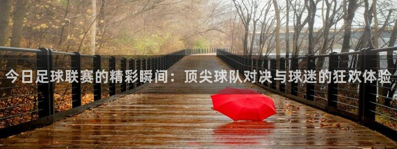  今日足球联赛的精彩瞬间：顶尖球队对决与球迷的狂欢体验