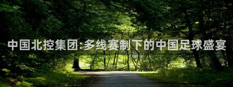  中国北控集团:多线赛制下的中国足球盛宴