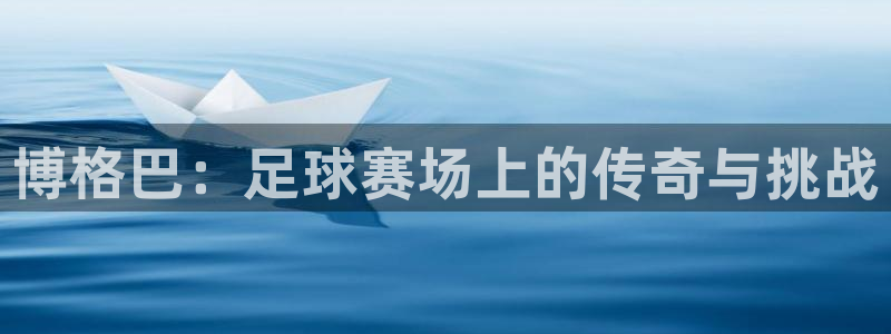 博格巴：足球赛场上的传奇与挑战