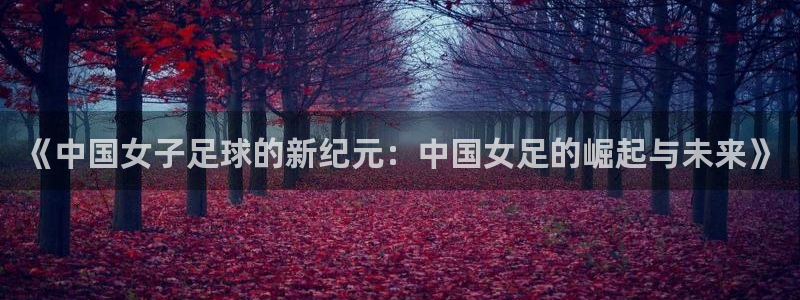 《中国女子足球的新纪元：中国女足的崛起与未来》