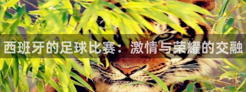西班牙的足球比赛：激情与荣耀的交融