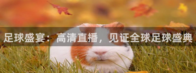  足球盛宴：高清直播，见证全球足球盛典