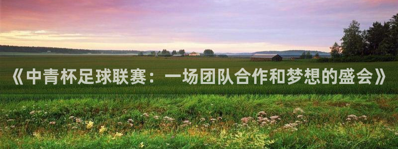  《中青杯足球联赛：一场团队合作和梦想的盛会》