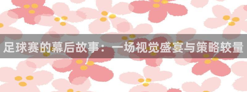 足球赛的幕后故事：一场视觉盛宴与策略较量