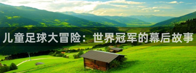 儿童足球大冒险：世界冠军的幕后故事