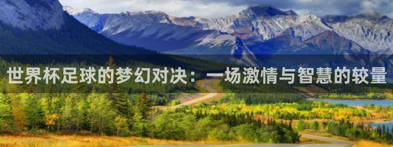世界杯足球的梦幻对决：一场激情与智慧