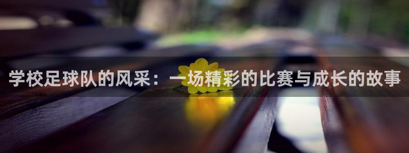 学校足球队的风采：一场精彩的比赛与成