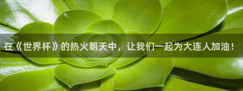 在《世界杯》的热火朝天中，让我们一起