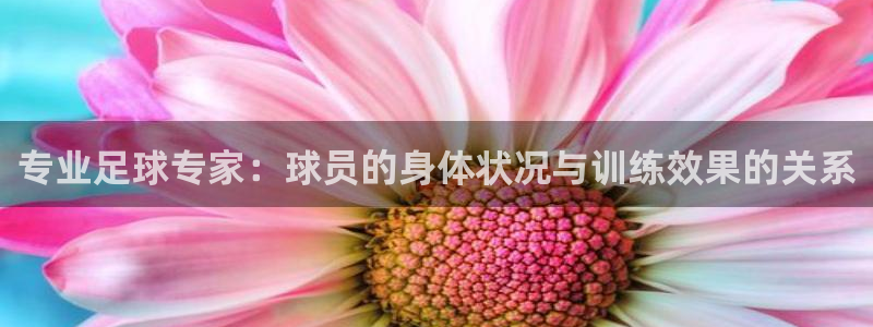 专业足球专家：球员的身体状况与训练效