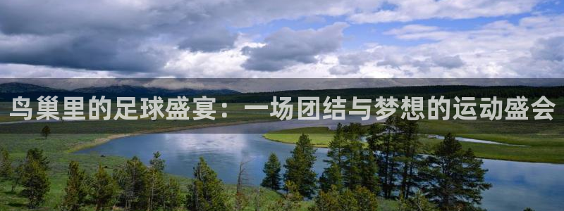 鸟巢里的足球盛宴：一场团结与梦想的运