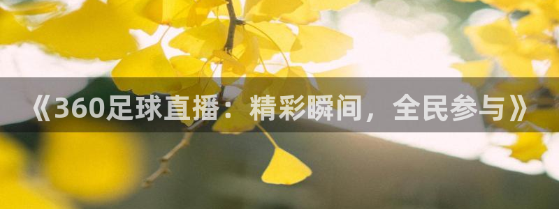 《360足球直播：精彩瞬间，全民参与
