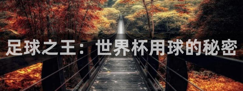 足球之王：世界杯用球的秘密