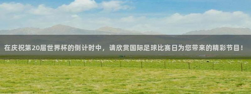 在庆祝第20届世界杯的倒计时中，请欣