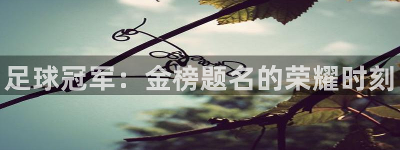 足球冠军：金榜题名的荣耀时刻