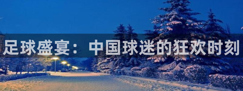足球盛宴：中国球迷的狂欢时刻