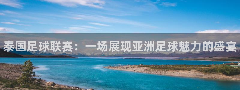 泰国足球联赛：一场展现亚洲足球魅力的