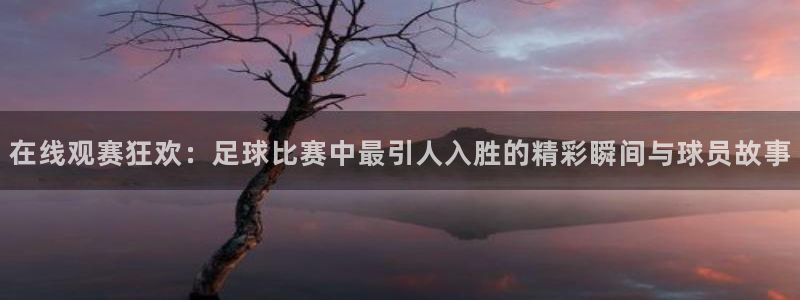  在线观赛狂欢：足球比赛中最引人入胜的精彩瞬间与球员故事