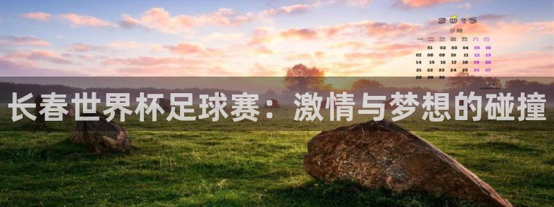 长春世界杯足球赛：激情与梦想的碰撞
