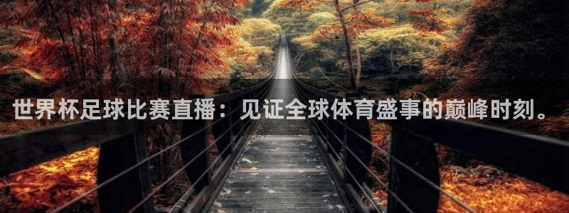 世界杯足球比赛直播：见证全球体育盛事的巅峰时刻。