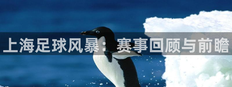 上海足球风暴：赛事回顾与前瞻