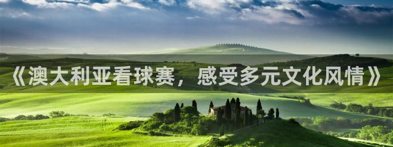 《澳大利亚看球赛，感受多元文化风情》