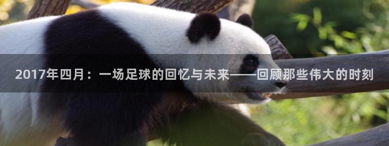  2017年四月：一场足球的回忆与未来——回顾那些伟大的时刻