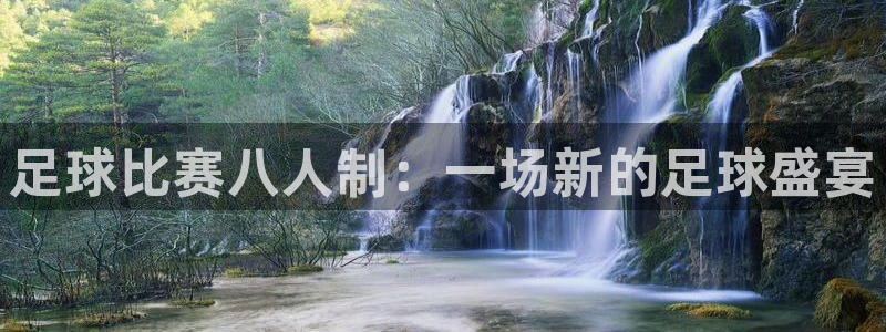 足球比赛八人制：一场新的足球盛宴