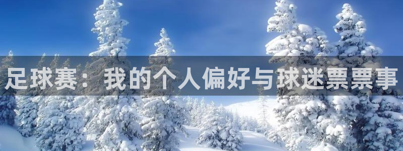 足球赛：我的个人偏好与球迷票票事