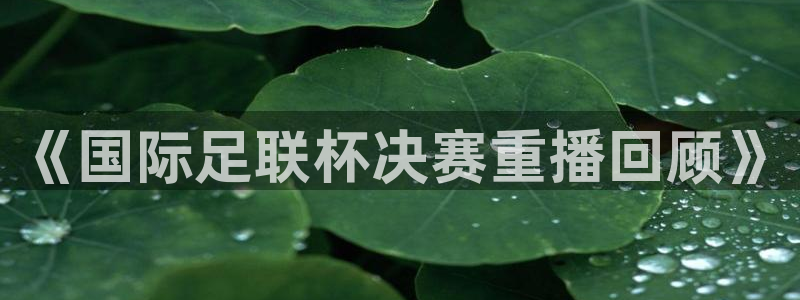  《国际足联杯决赛重播回顾》