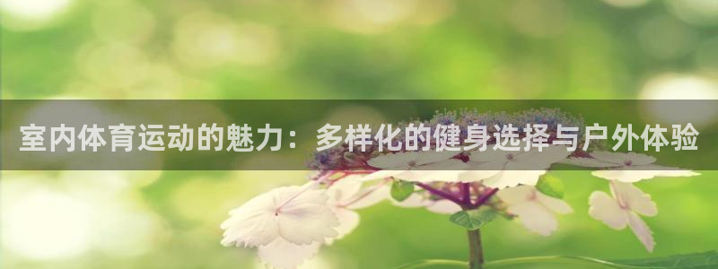 betway西汉姆官网：室内体育运动的魅力：多样化的健身选择与户外体验