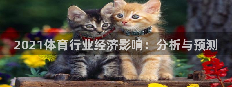 必威betway西汉姆联：2021体育行业经济影响：分析与预测
