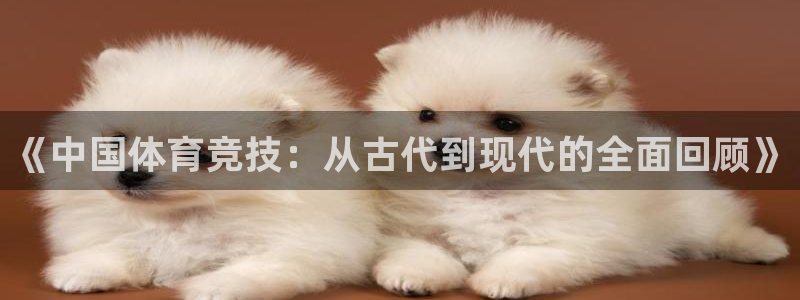 必威betway西汉姆联：《中国体育竞技：从古代到现代的全面回顾》