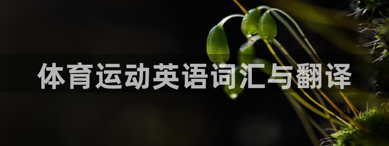 betway西汉姆联官网：体育运动英语词汇与翻译