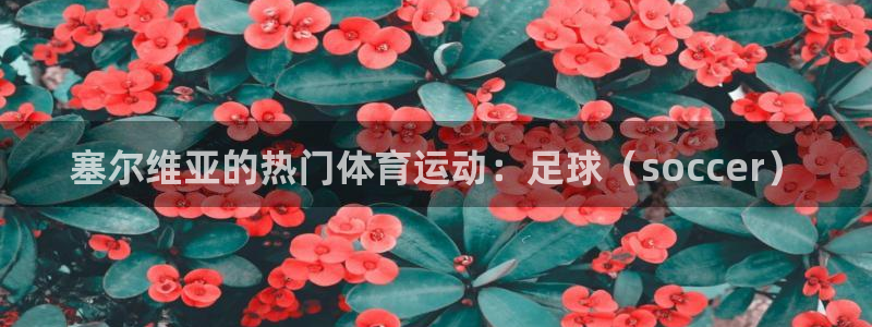 betway西汉姆：塞尔维亚的热门体育运动：足球（soccer）