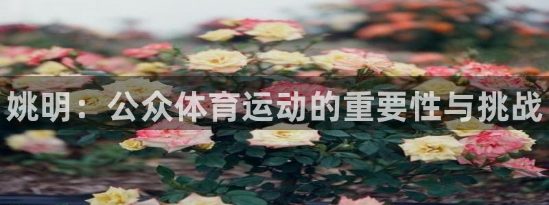 betway西汉姆：姚明：公众体育运动的重要性与挑战