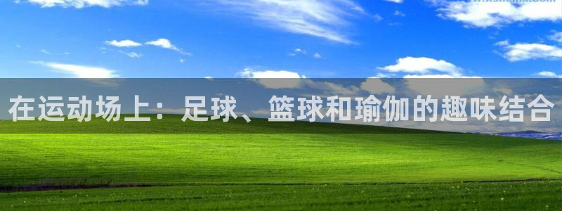 betway西汉姆联：在运动场上：足球、篮球和瑜伽的趣味结合