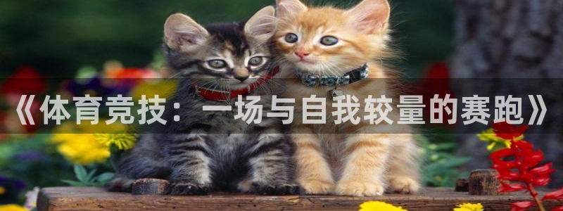 betway西汉姆联：《体育竞技：一场与自我较量的赛跑》