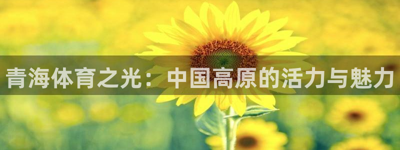 必威betway西汉姆联：青海体育之光：中国高原的活力与魅力