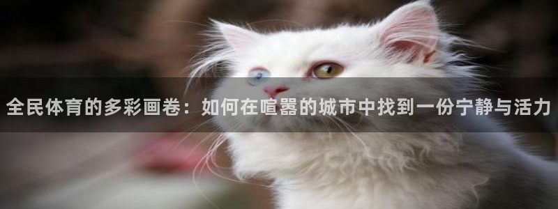 betway西汉姆联官网：全民体育的多彩画卷：如何在喧嚣的城市中找到一份宁静与活力