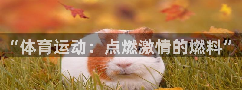 betway西汉姆官网：“体育运动：点燃激情的燃料”